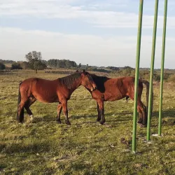 Forte de Santa Tecla - Bagé