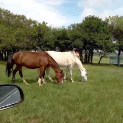 Parque do Gaúcho - Bagé