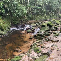 Parque do Lago Cristal - Bagé