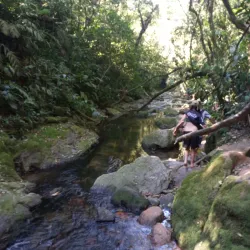 Parque do Lago Cristal - Bagé