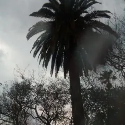 Praça Silveira Martins - Bagé