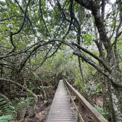 Parque Natural Municipal Raimundo Gonçalez Malta - Balneario Camboriu
