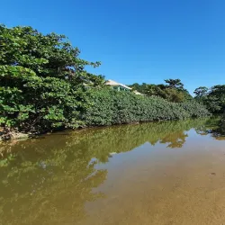 Praia dos Amores - Balneario Camboriu