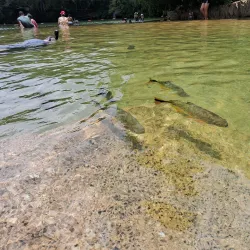 Balneário do Sol - Barra do Garças
