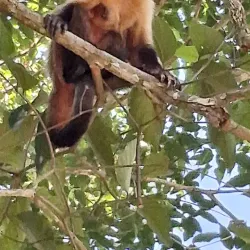 Balneário do Sol - Barra do Garças