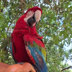 Balneário do Sol - Barra do Garças