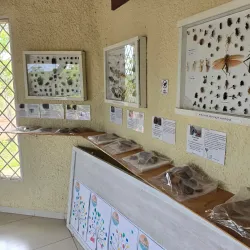 Mirante do Cristo Redentor - Barra do Garças