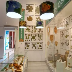 Museu de Barra do Garças - Barra do Garças