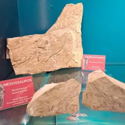 Museu de Barra do Garças - Barra do Garças