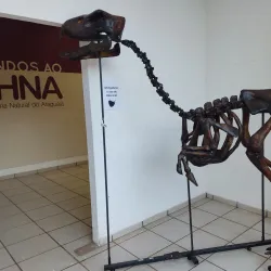 Museu de Barra do Garças - Barra do Garças