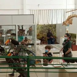 Museu de Barra do Garças - Barra do Garças