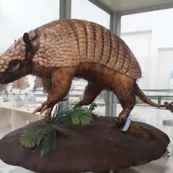 Museu de Barra do Garças - Barra do Garças