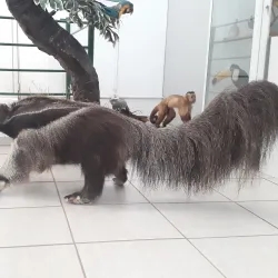 Museu de Barra do Garças - Barra do Garças