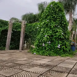 Praça da Matriz - Barra do Garças