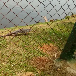 Clube Recreativo de Bebedouro - Bebedouro