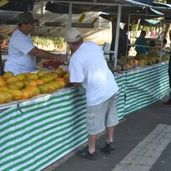 Feira Livre de Bebedouro - Bebedouro