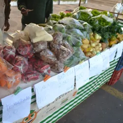 Feira Livre de Bebedouro - Bebedouro