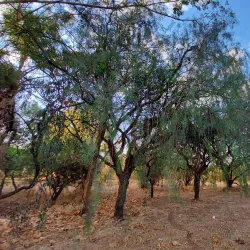 Parque Ecológico Municipal - Bebedouro