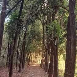 Parque Ecológico Municipal - Bebedouro