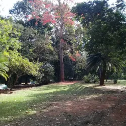 Parque Ecológico Municipal - Bebedouro