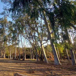 Parque Ecológico Municipal - Bebedouro