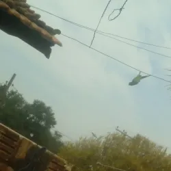 Parque Ecológico Municipal - Bebedouro