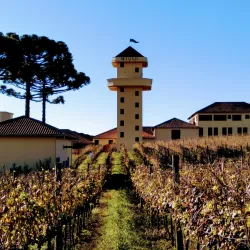 Vale dos Vinhedos - Bento Gonçalves