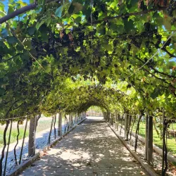 Vinícola Casa Valduga - Bento Gonçalves