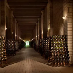 Vinícola Casa Valduga - Bento Gonçalves