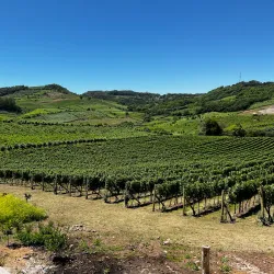 Vinícola Casa Valduga - Bento Gonçalves