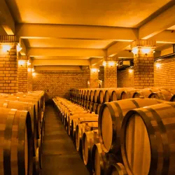 Vinícola Miolo - Bento Gonçalves