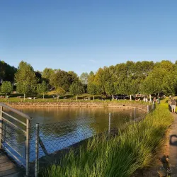 Vinícola Miolo - Bento Gonçalves