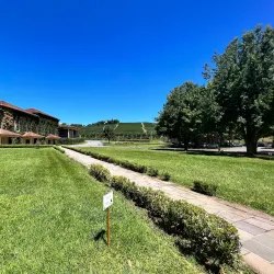 Vinícola Miolo - Bento Gonçalves