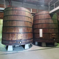 Vinícola Miolo - Bento Gonçalves