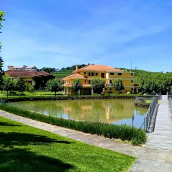 Vinícola Miolo - Bento Gonçalves