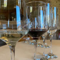 Vinícola Miolo - Bento Gonçalves