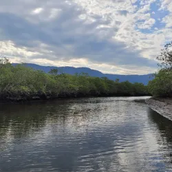 Parque Estadual Restinga de Bertioga - Bertioga