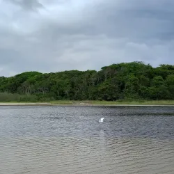 Parque Estadual Restinga de Bertioga - Bertioga