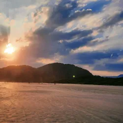 Parque Estadual Restinga de Bertioga - Bertioga