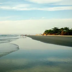 Parque Estadual Restinga de Bertioga - Bertioga