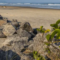 Praia de Guaratuba - Bertioga