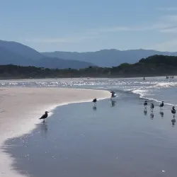Praia de Itaguaré - Bertioga
