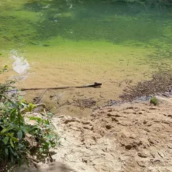 Reserva Ecológica do Guaratuba - Bertioga