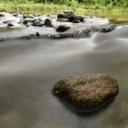 Reserva Ecológica do Guaratuba - Bertioga