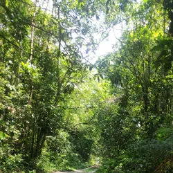 Reserva Ecológica do Guaratuba - Bertioga