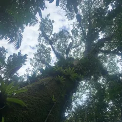 Reserva Ecológica do Guaratuba - Bertioga