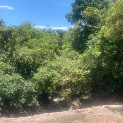 Reserva Ecológica do Guaratuba - Bertioga