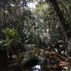 Reserva Ecológica do Guaratuba - Bertioga