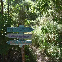 Trilha das 7 Praias - Bertioga