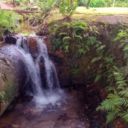 Parque das Águas - Betim